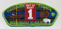 Tuscarora Council Wood Badge CSP Tuscarora Council #424