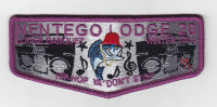 Nentego Lodge Winter Flap 2014 Del-Mar-Va Council #81