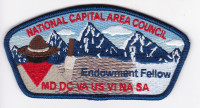 Endowment Fellow CSP  National Capital Area Council #82