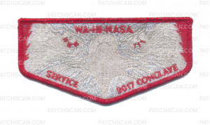 Patch Scan of WA-HI-NASA Service 2017 Conclave
