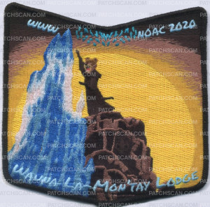 Patch Scan of 392461 WAUNA