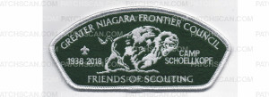 Patch Scan of 2018 Friends of Scouting CSP (PO 87527)