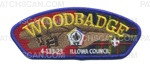 Patch Scan of Wood Badge Illowa Council 4-133-23 3 bead CSP