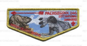 Patch Scan of Pachsegink 246 2017 National Jamboree Flap