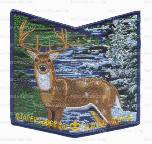 Patch Scan of Ajapeu Lodge 351 NOAC 2018 pocket patch