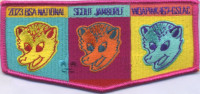 454255- 2023 National Scout Jamboree Woapink  Greater St. Louis Area Council #312
