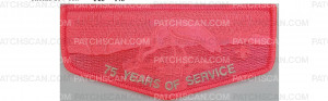Patch Scan of 75 Years of Service Flap (PO 89662)