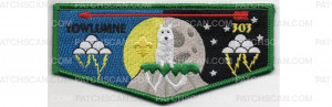 Patch Scan of Lodge Flap (PO 88159)