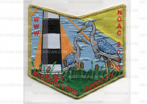 Patch Scan of NOAC Pocket 