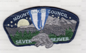 Patch Scan of Silver Beaver 2023 CSP