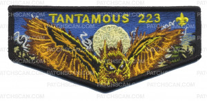 Patch Scan of  NOAC-2022 Tantamous 223 Flap (Day) 