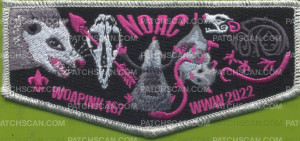 Patch Scan of 437795- NOAC - Woapink Lodge 