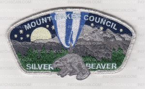 Patch Scan of Silver Beaver 2023 CSP