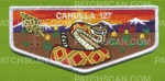 Patch Scan of Cahuilla 127 gold arrowhead flap