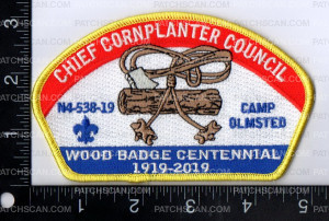 Patch Scan of Chief Cornplanter Council Wood Badge Centennial 1919 - 2019