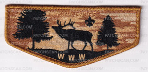 Patch Scan of Wyona Participation Flaps