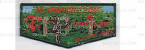 Patch Scan of 100 Hours of Service Flap (PO 86594)