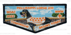 Patch Scan of Pellissippi 230 NOAC 2022 flap Tomorrow Begins Today