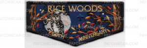 Patch Scan of Rice Woods Flap (PO 88222)