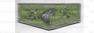 Patch Scan of Service Corps Flap (PO 89924)
