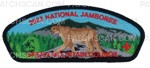 Patch Scan of 2021 Jamboree CSP (Mountain Lion)