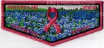 Patch Scan of Penateka 561 Breast Cancer Support Flap 