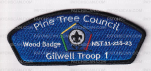 Patch Scan of Pine Tree Council Woodbadge CSP