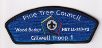 Pine Tree Council Woodbadge CSP Pine Tree Council #218