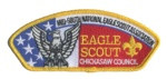 Eagle Scout CSP (Chickasaw Council)  Chickasaw Council #558