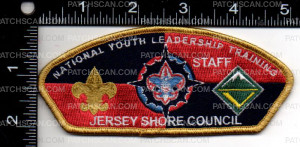 Patch Scan of JSC NYLT CSP
