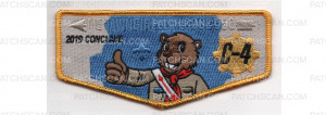 Patch Scan of 2019 C-4 Conclave Flap