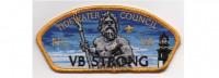CSP (PO 88797) Tidewater Council #596