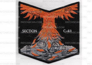 Patch Scan of Section C-4B Pocket Patch (PO 88211)