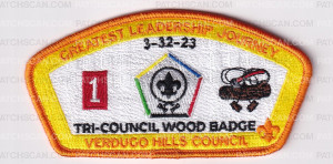 Patch Scan of Tricouncil Woodbadge CSPs - VHC