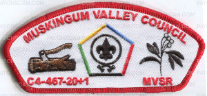 Patch Scan of MVC 2021 WOOD BADGE CSP