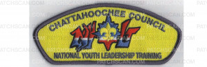 Patch Scan of NYLT CSP
