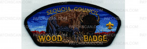 Patch Scan of Wood Badge CSP Buffalo (PO 101585)