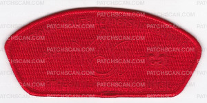Patch Scan of Fire NYLT CSP