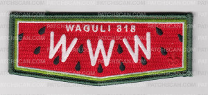 Patch Scan of Waguli 318 Watermelon Flap