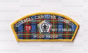 Patch Scan of Woodbadge 2023 CSP