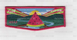 Patch Scan of Waguli 318 Watermelon Flap