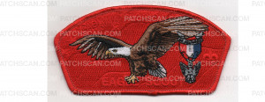 Patch Scan of Eagle Scout CSP (PO 100085)