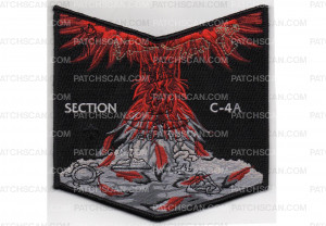Patch Scan of Section C-4A Pocket Patch (PO 88209)