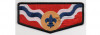 NOAC Delegate Flap (PO 100181)