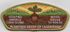 WOOD BADGE CSP LONG ISLAND METALLIC GOLD BORDER