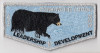Camanche Lodge #254 OA Flaps 2020 Leadership Development