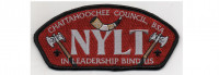 NYLT CSP (PO 101042) Chattahoochee Council #91