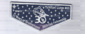 Patch Scan of Tschitani Fall Fellowship 2025 Flap Set