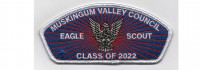 Eagle Scout Class of 2022 (PO 100910) Muskingum Valley Council #467