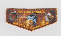 Nentego Wildland Firefighter Patch Del-Mar-Va Council #81